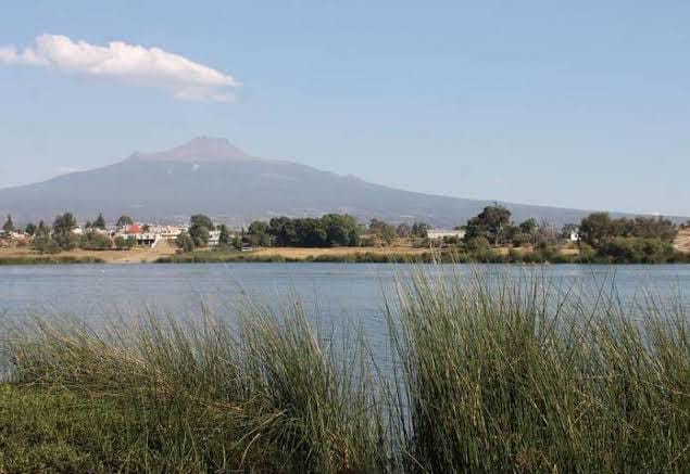 Discriminación y falta de apoyo gubernamental, denuncian pueblos originarios