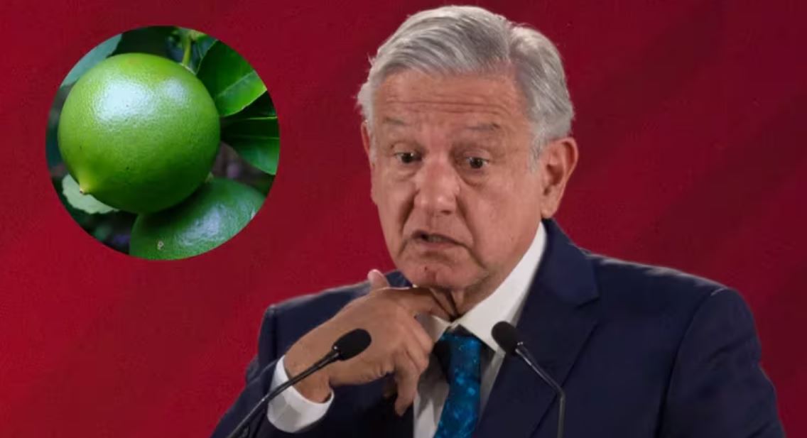precio del limón