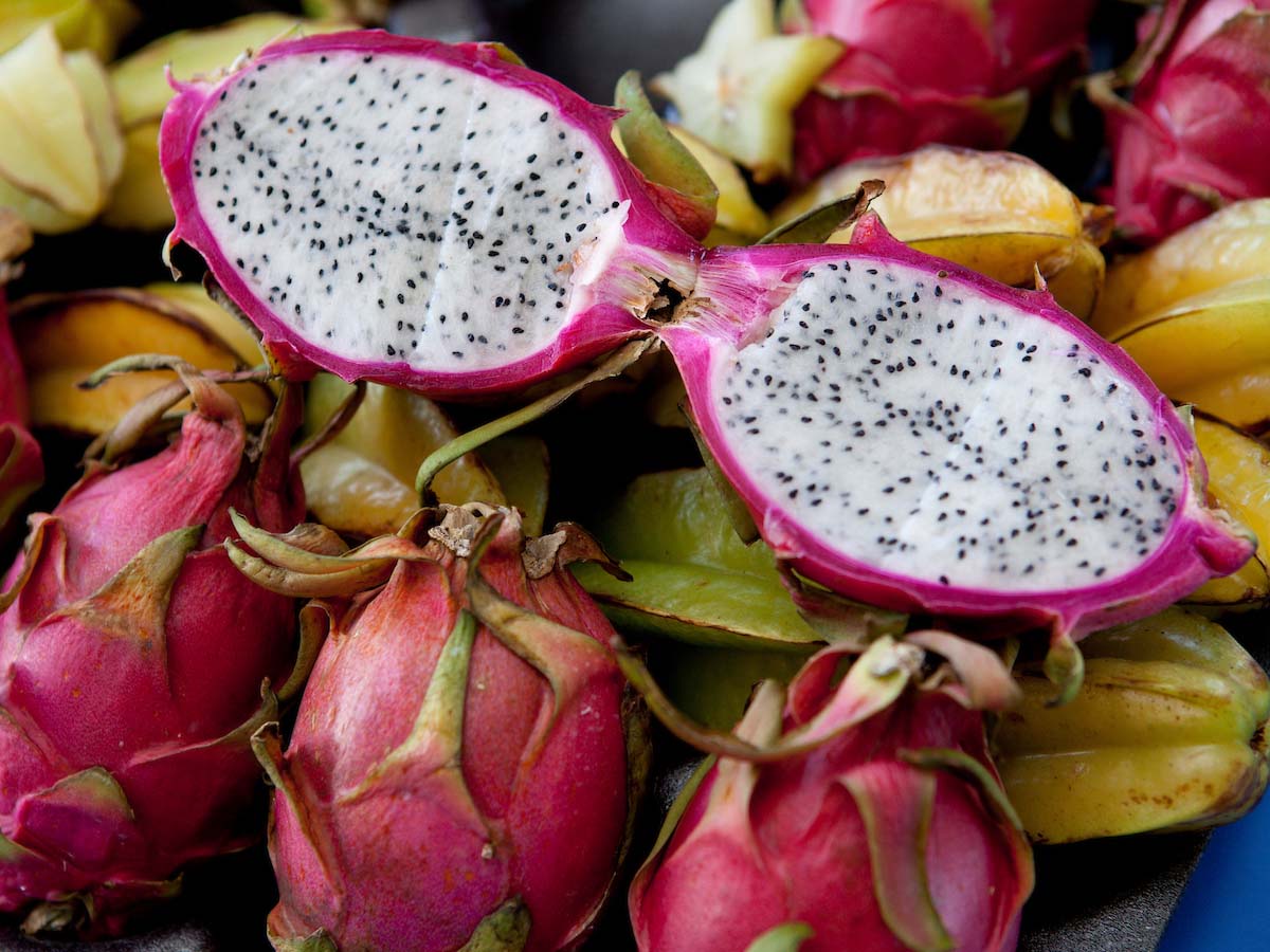 pitahaya2