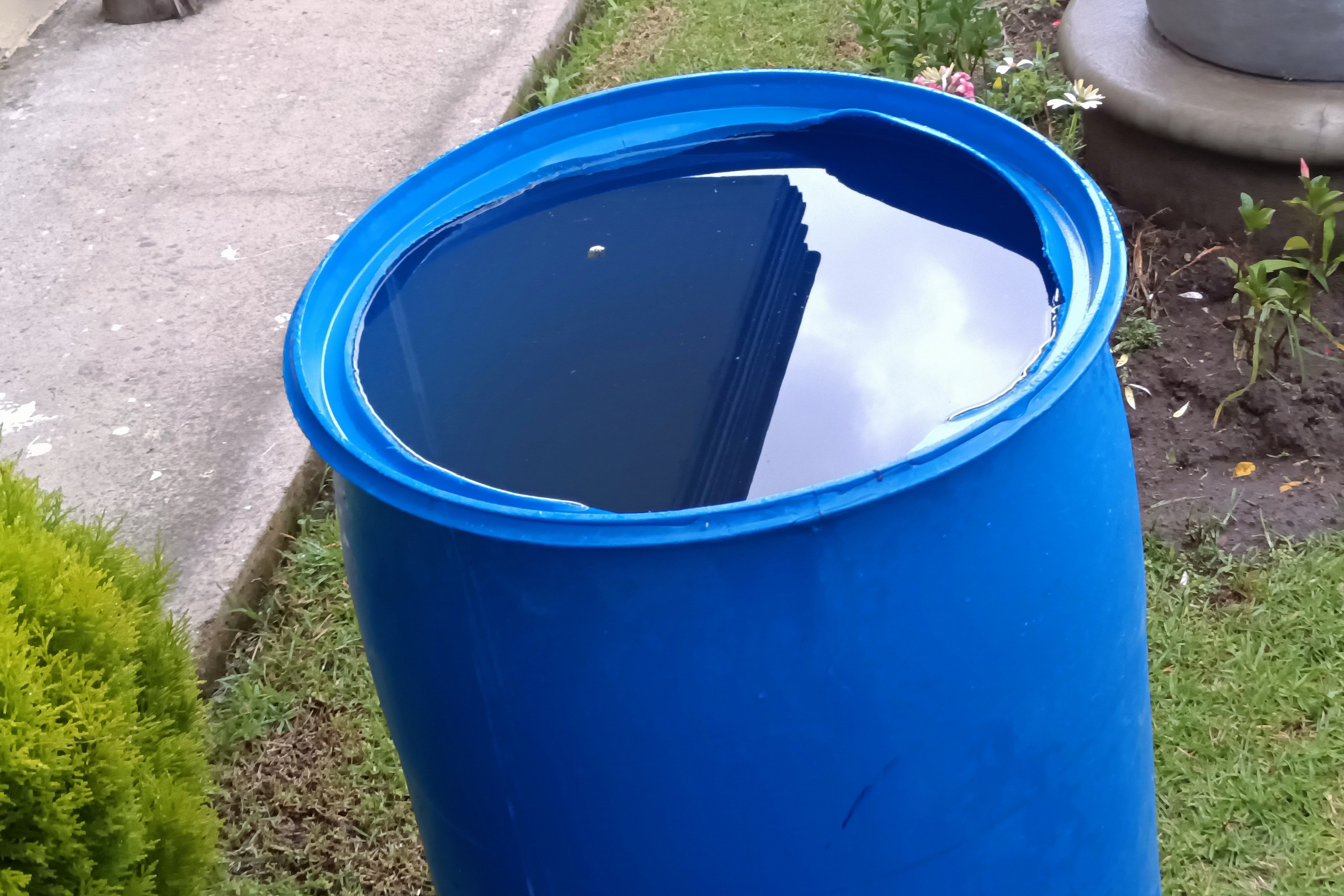 Dengue en Puebla: Casos acumulados alcanzan 1,864, con solo 4 hospitalizaciones