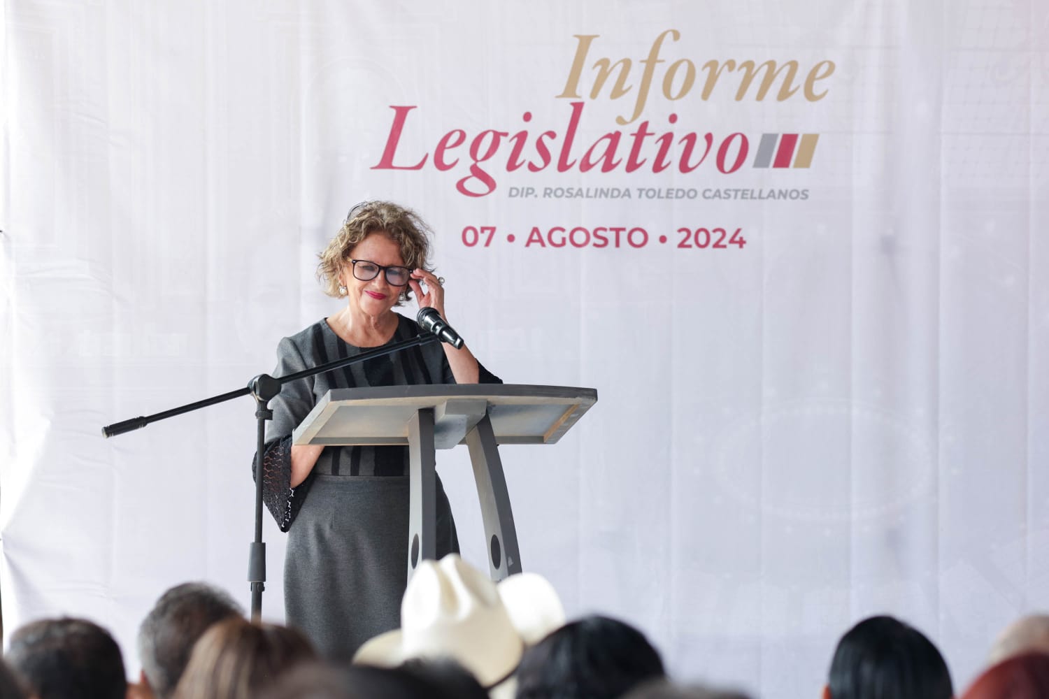 Informe Rosalinda Toledo