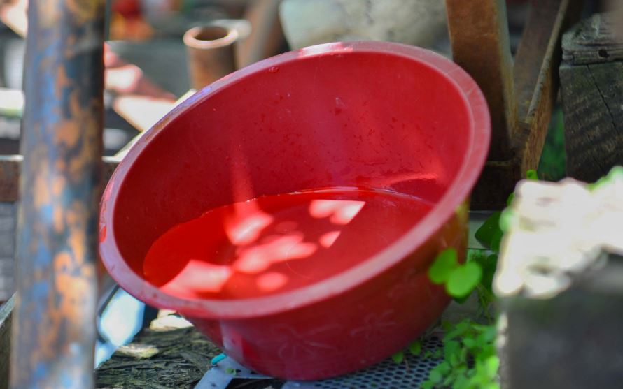 Puebla reporta 3 hospitalizados por dengue, sin defunciones ni contagios