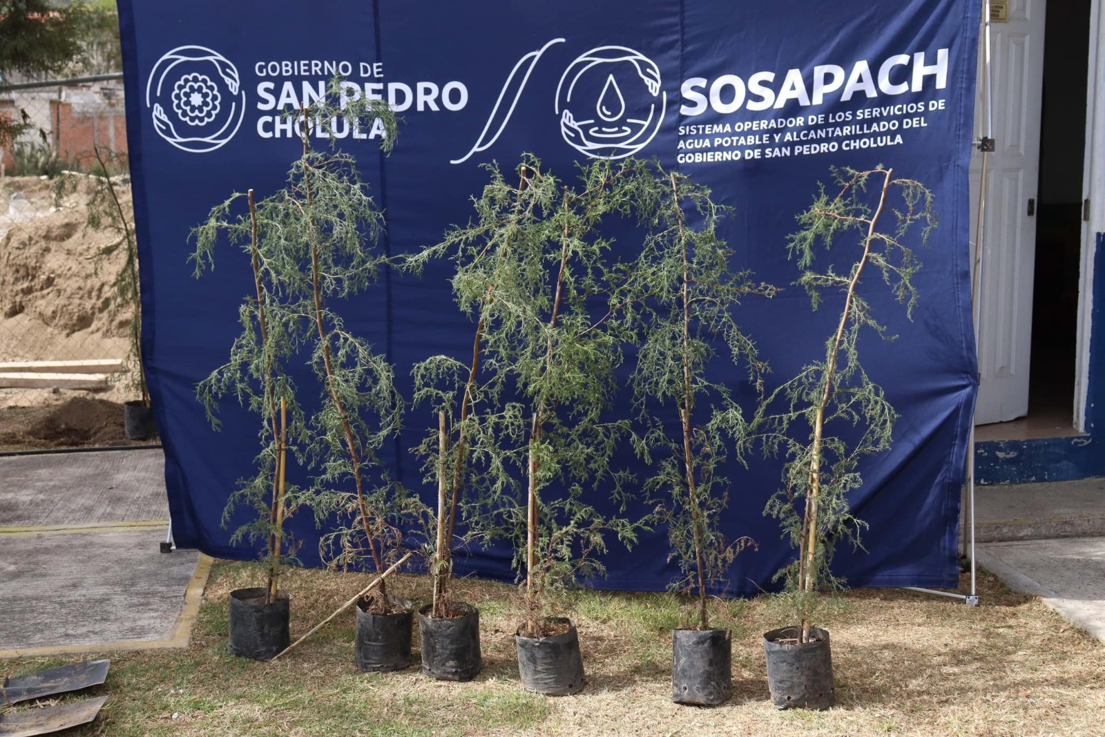 Promueve Paola Angon espacios verdes en San Pedro Cholula