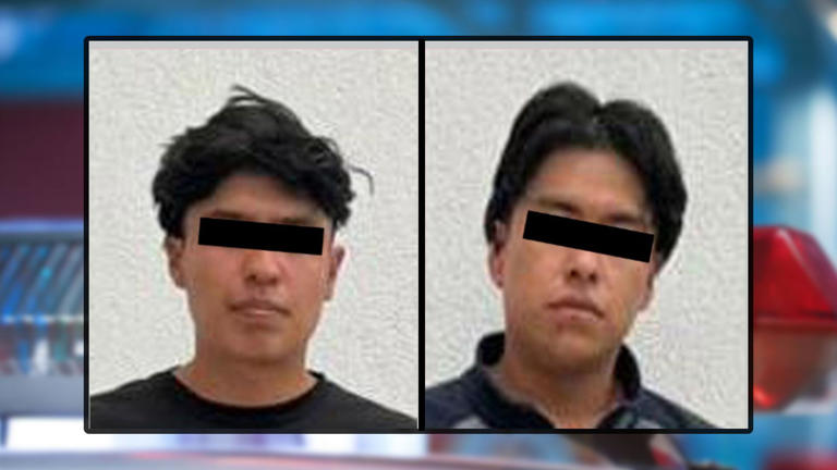 Detenidos