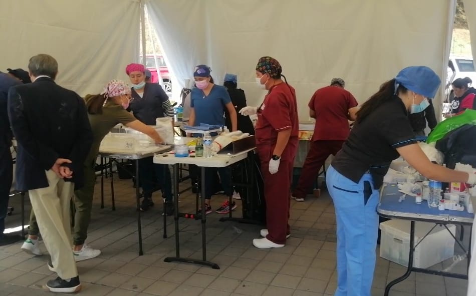 Entrega de Actas de Nacimiento para Mascotas en San Pedro Cholula
