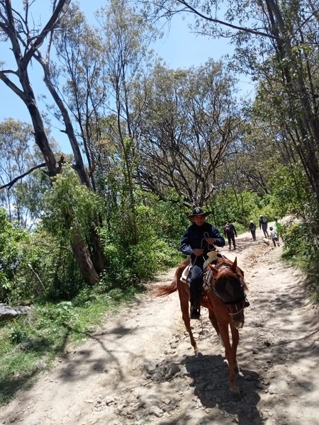 vigilancia cerro zapotecas 3