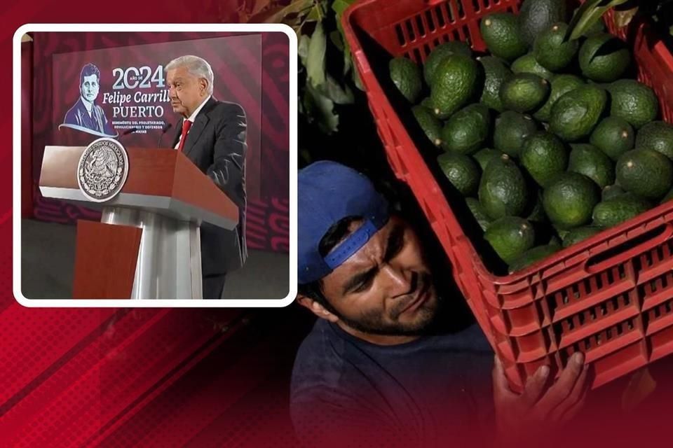 AMLO aseguró que el freno de EU al aguacate se resuelve hoy 