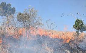 Por sequía, registra SMA 32 incendios en bosques de Tlaxcala