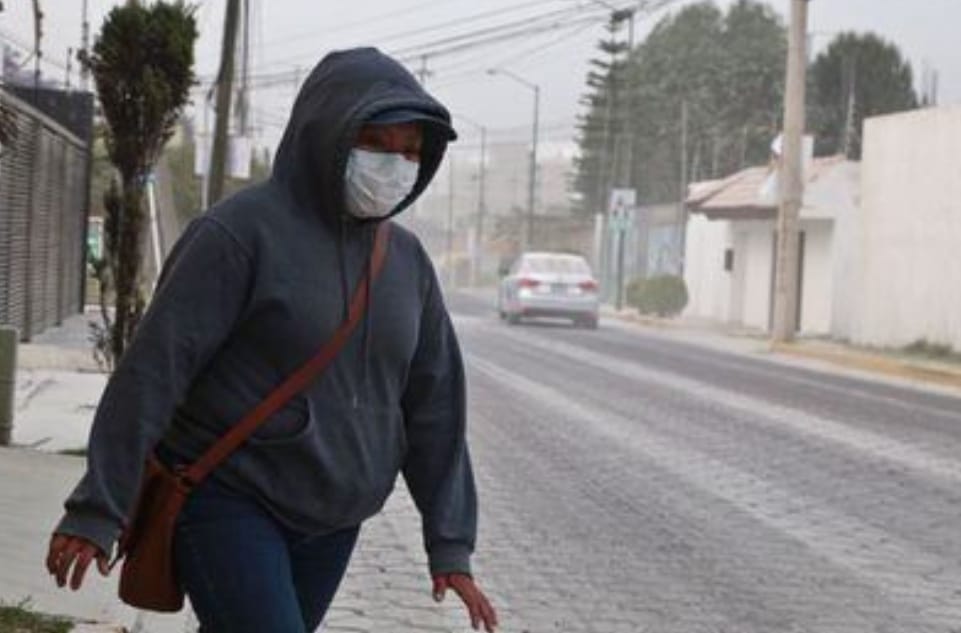 Barrer la ceniza y mantener mascotas resguardadas ante lluvia de ceniza en SACH: Edmundo Tlatehui