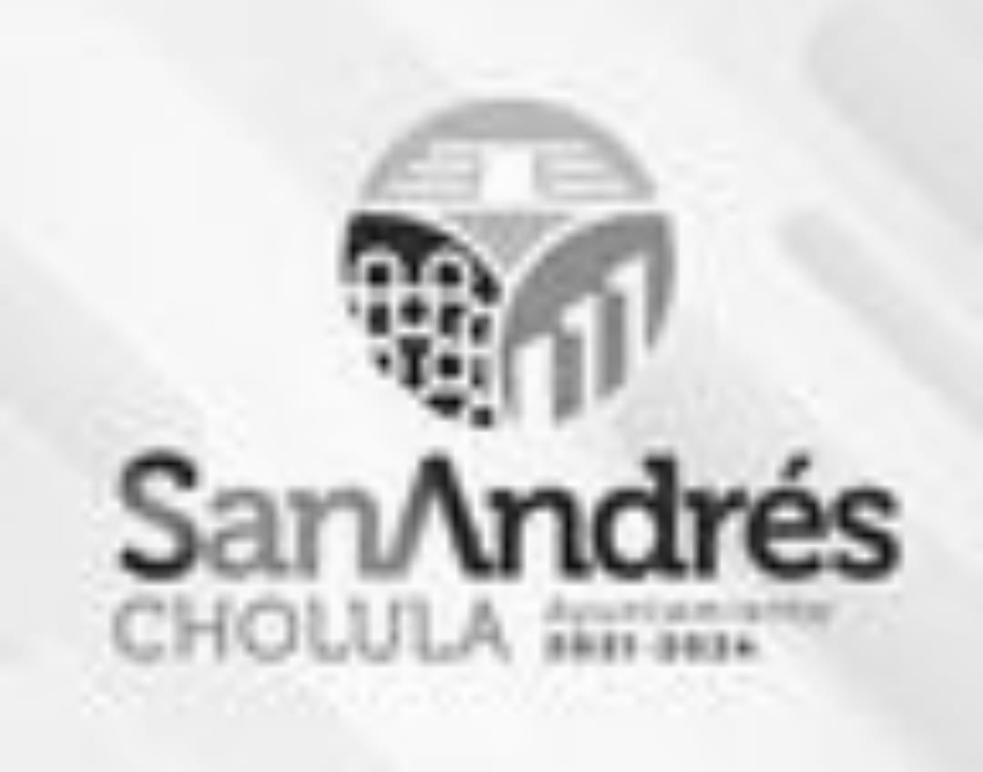 Comunicado de Prensa