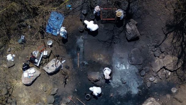 Fiscalía CDMX asegura que los restos encontrados en la fosa clandestina son de animales