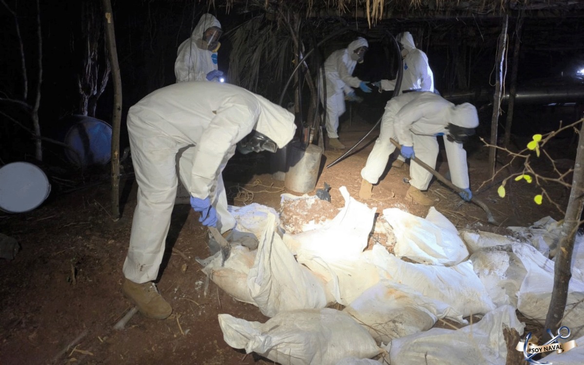 Marina destruye laboratorios clandestinos de metanfetaminas en Sinaloa