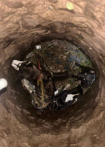 ¡Aplausos para los héroes sin capa!