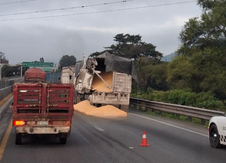 Accidente en la autopista Orizaba-Puebla: dos caballos muertos