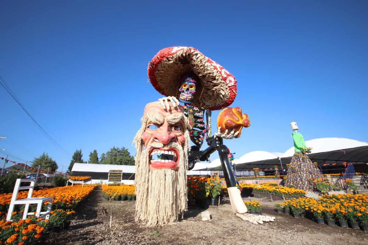 Valle de Catrinas en Atlixco 2024