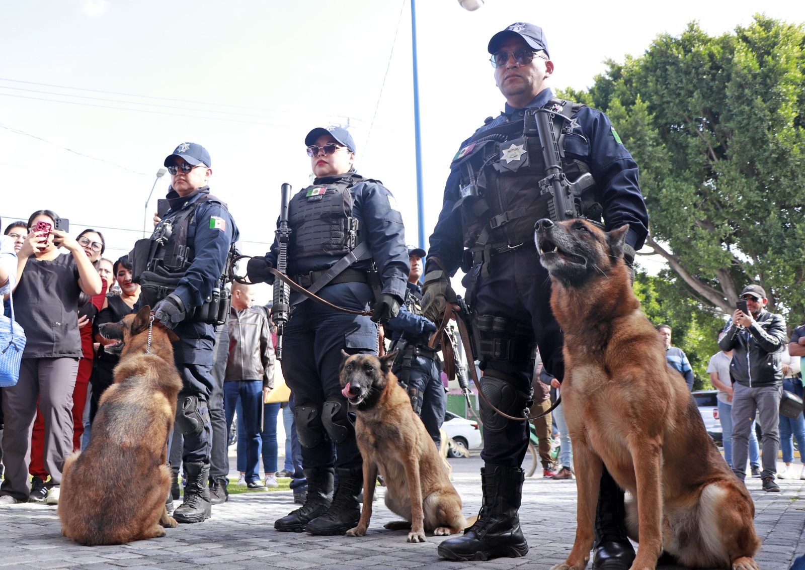 jornada de bienestar animal cuautlancingo 6