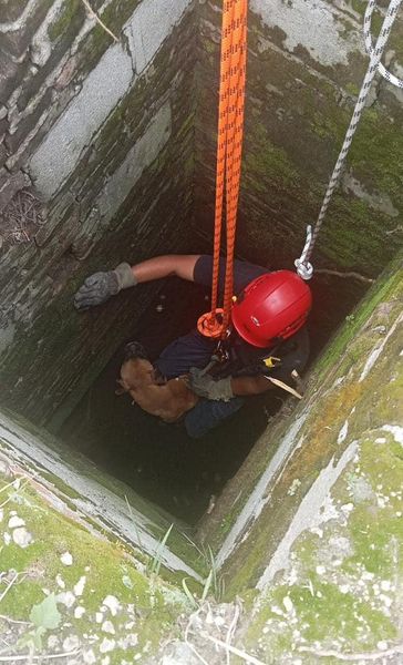 Rescatan a perrito de pozo de 10 metros en San Andrés Cholula