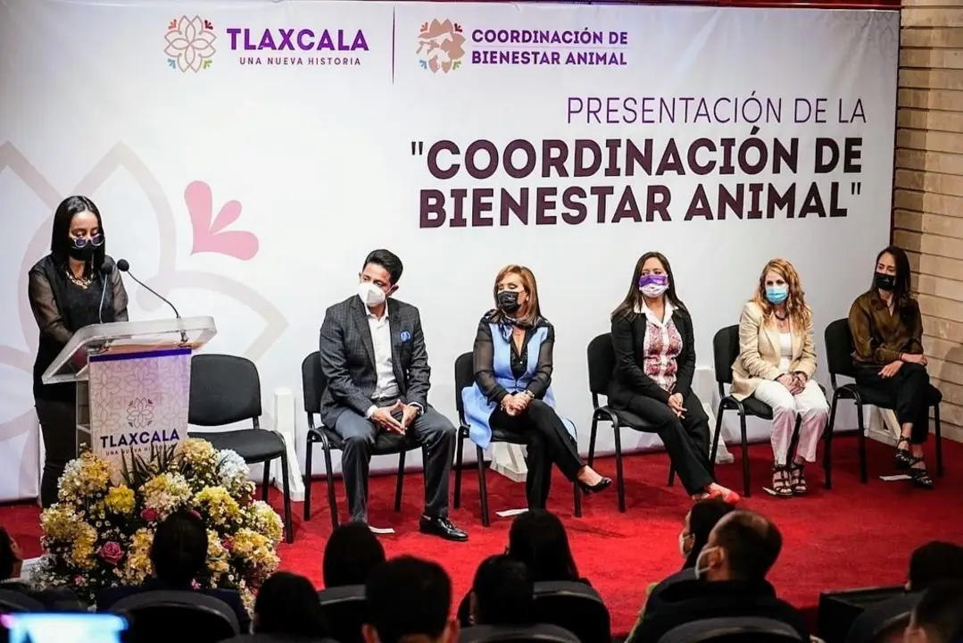 Por omisión a la Ley, OCPA exhibe al Consejo Consultivo de Bienestar Animal