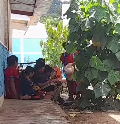 Ataque armado contra escuela indígena en Oaxaca genera pánico y alarma