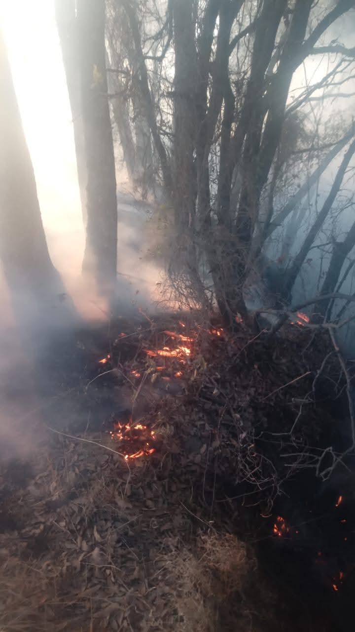 Se intensifica temporada de incendios, sofocan siniestro en Tlalcuapan