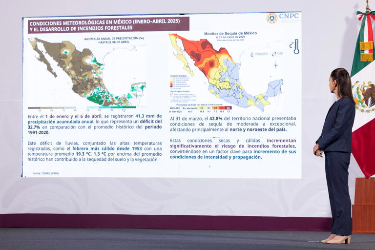 México enfrenta 114 incendios forestales activos; Morelos, entre los más afectados