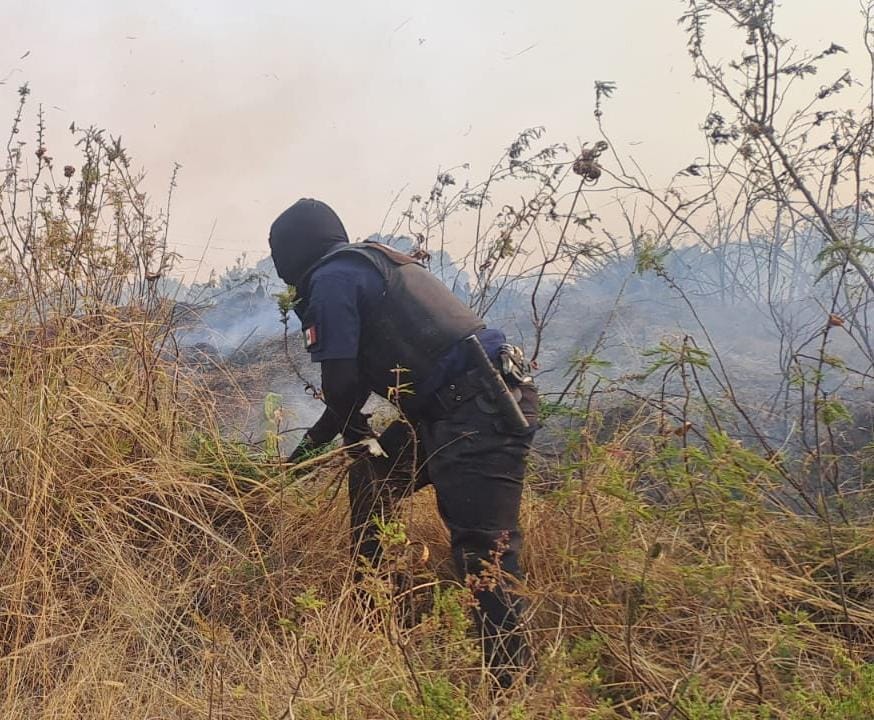 combate incendio zapotecas 4