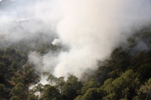 Detienen a dos en Puebla por incendios forestales 