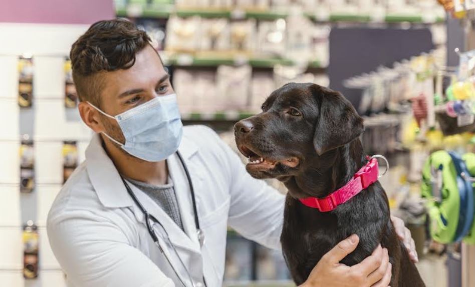 Baja vacunación, un riesgo para todos