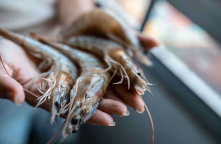 Una tradición religiosa que trasciende al plato