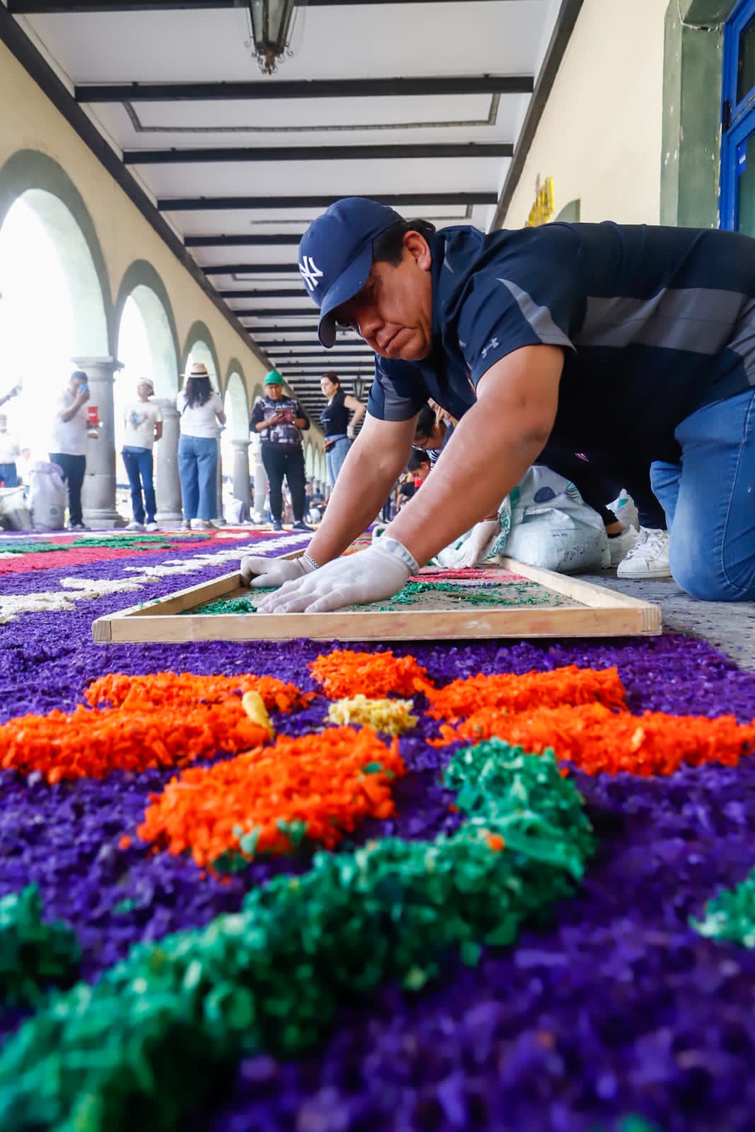 encabeza realizacion de alfombra tfd 3