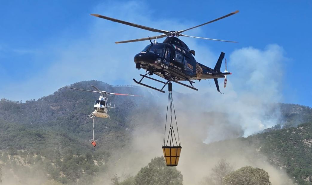 Coordinación interestatal contra incendio en cerro de San Gabriel