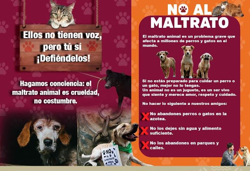 Atlixco reitera su compromiso con la protección de los animales