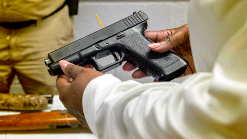 Senado avala reforma para permitir portación de armas a empleados de CFE y SAT