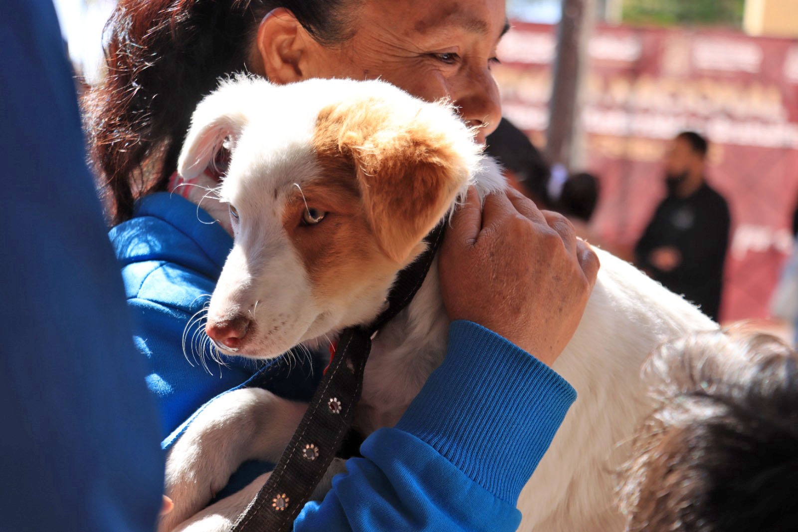 Arranca Campaña Nacional de Vacunación Antirrábica Canina y Felina 2025 en Cuautlancingo