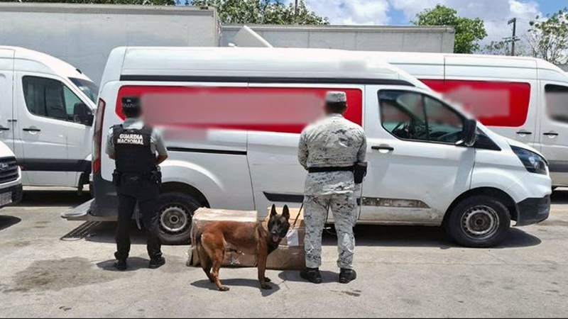 Fuerzas federales asestan duros golpes al crimen en 12 estados del país