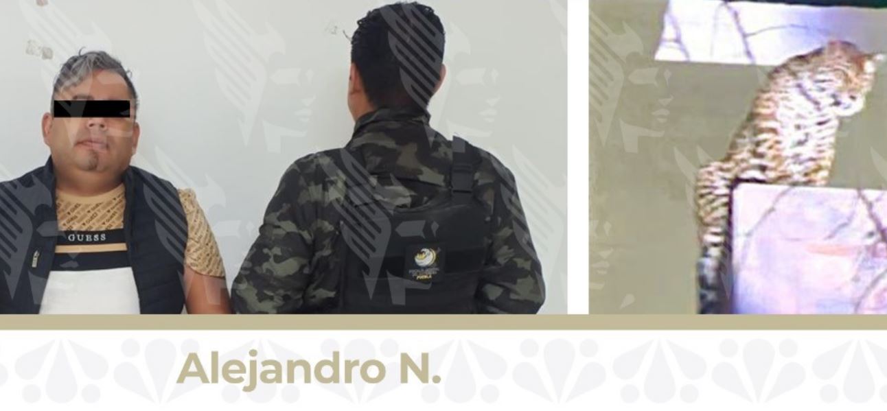 Detienen a hombre armado en cateo en San Jerónimo Caleras