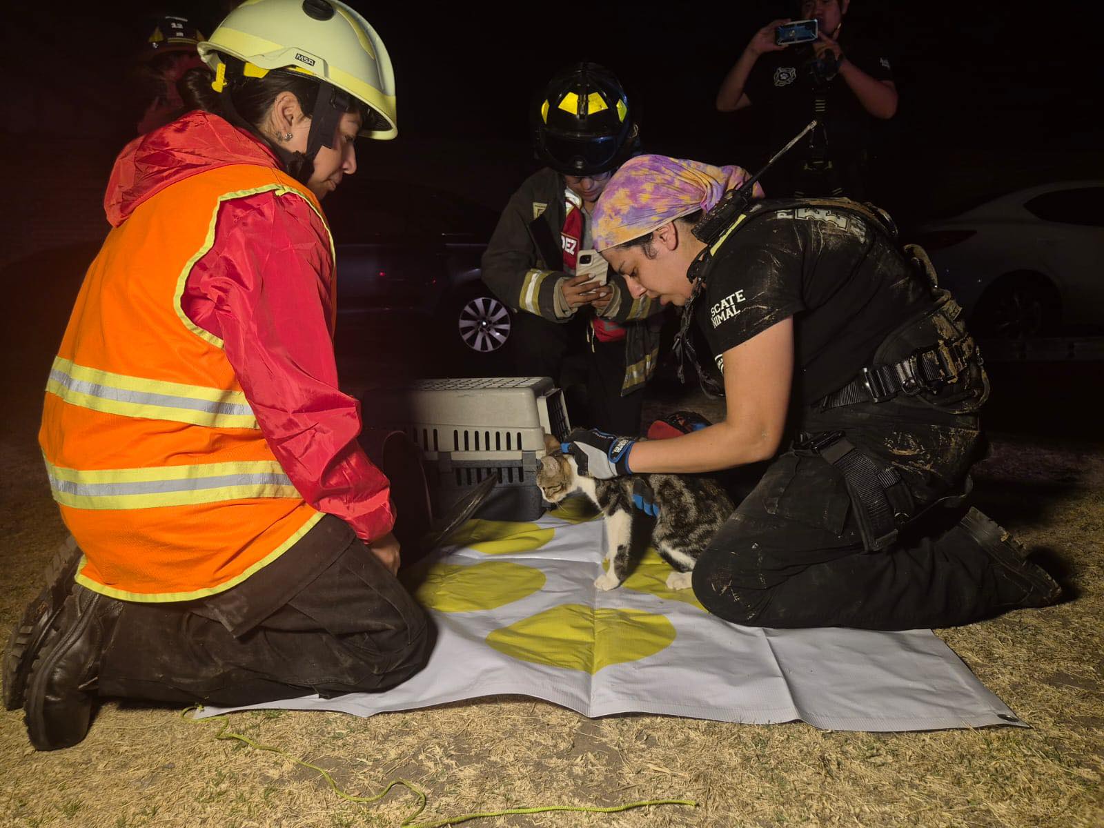 Rescatan con éxito a gato que cayó en un pozo en Cuautlancingo