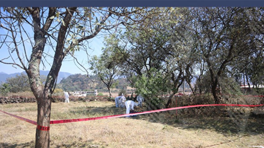 Investigan muerte de “Lanuda” por posible crueldad animal en Zacatlán