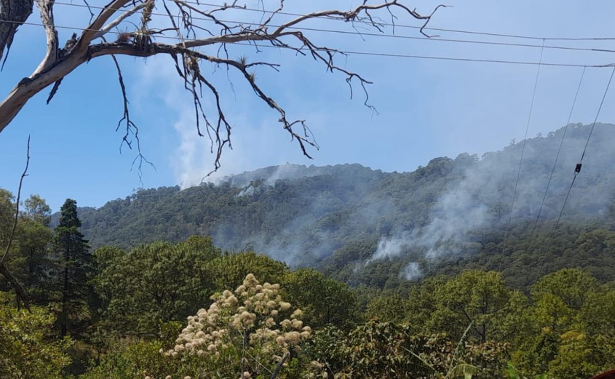 Santiago Amoltepec y otras comunidades de Oaxaca luchan contra incendios forestales activos