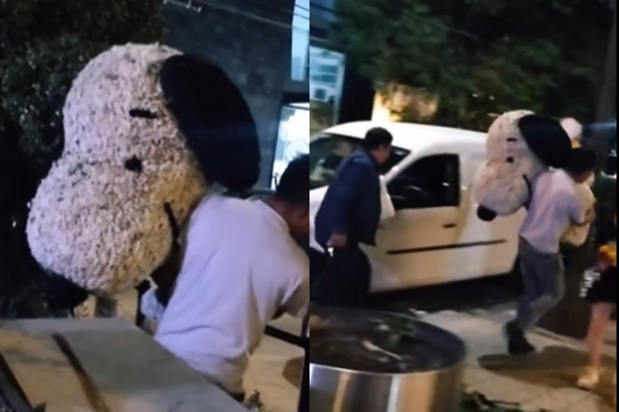 Indignación en redes: roban figura floral de Snoopy en Polanco