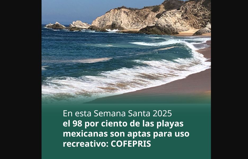 Gobierno de Acapulco rechaza informe de Cofepris sobre playas contaminadas