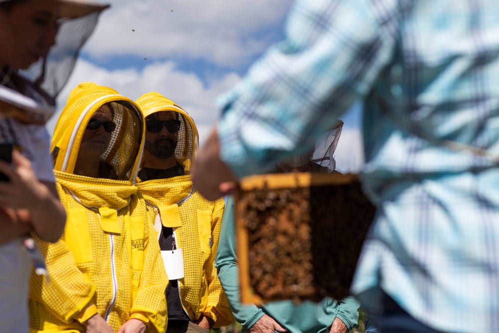 Programa impulsa emprendedores apícolas en Florida