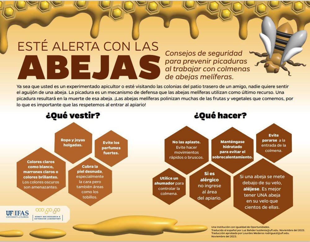 abejas4