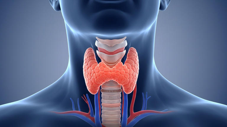 ¿Depresión o tiroides? Este trastorno afecta al 12% de los pacientes con síntomas emocionales