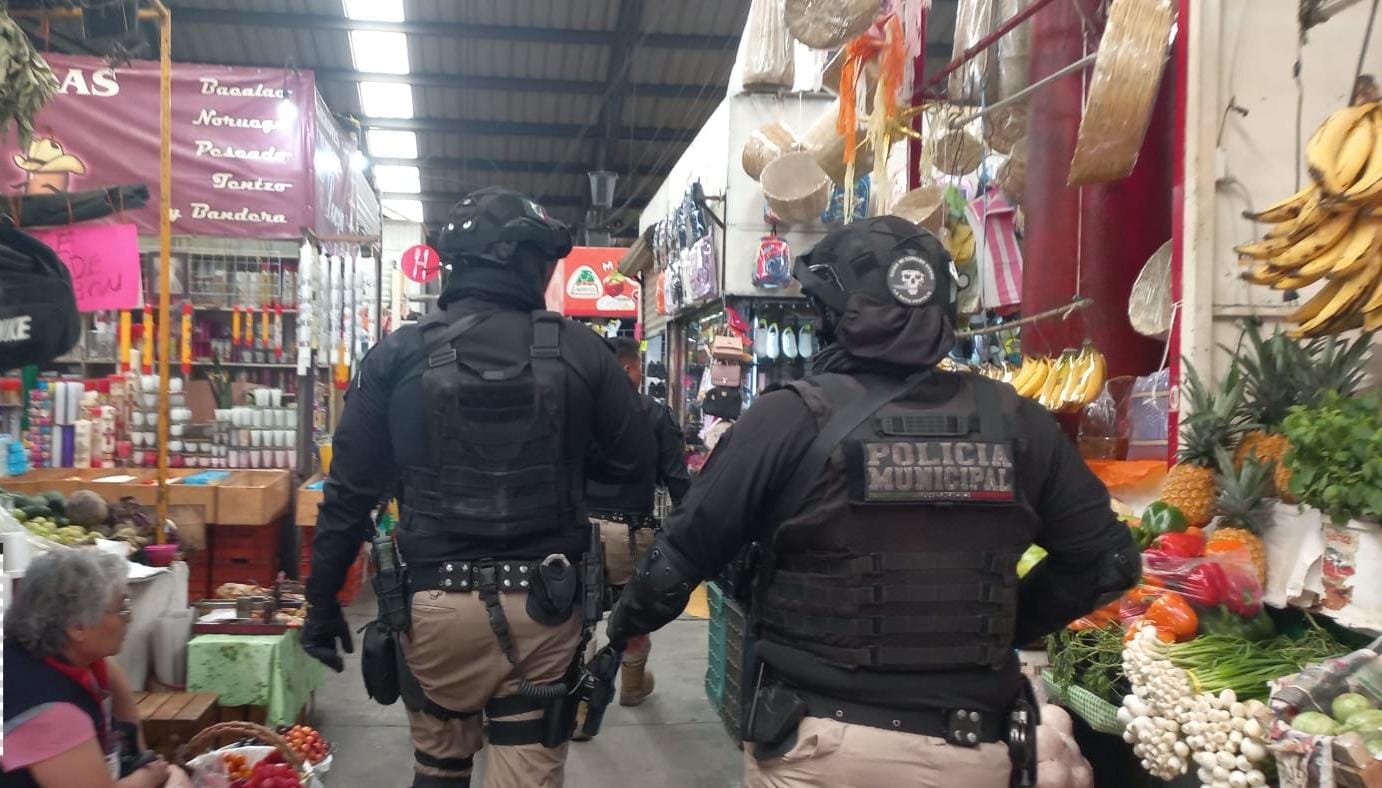 bajan indices delictivos spch 5