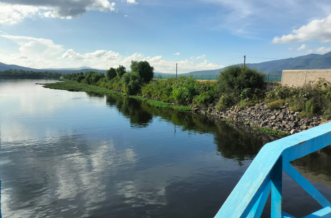 Lluvias de 2025 elevan presas al 50% y Cutzamala se recupera al 64.8%