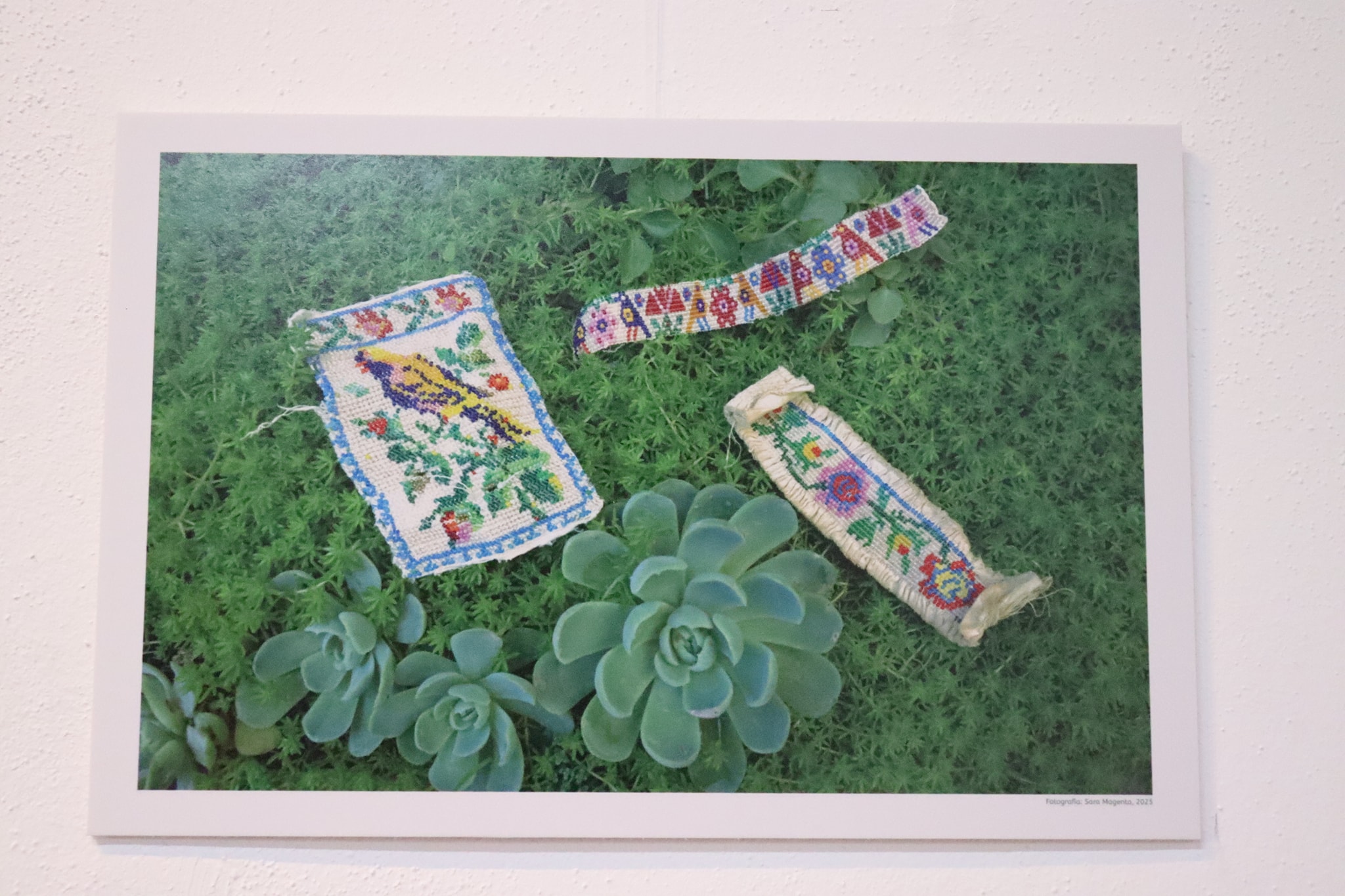 Noche de Museos celebra la identidad y fantasía en San Pedro Cholula