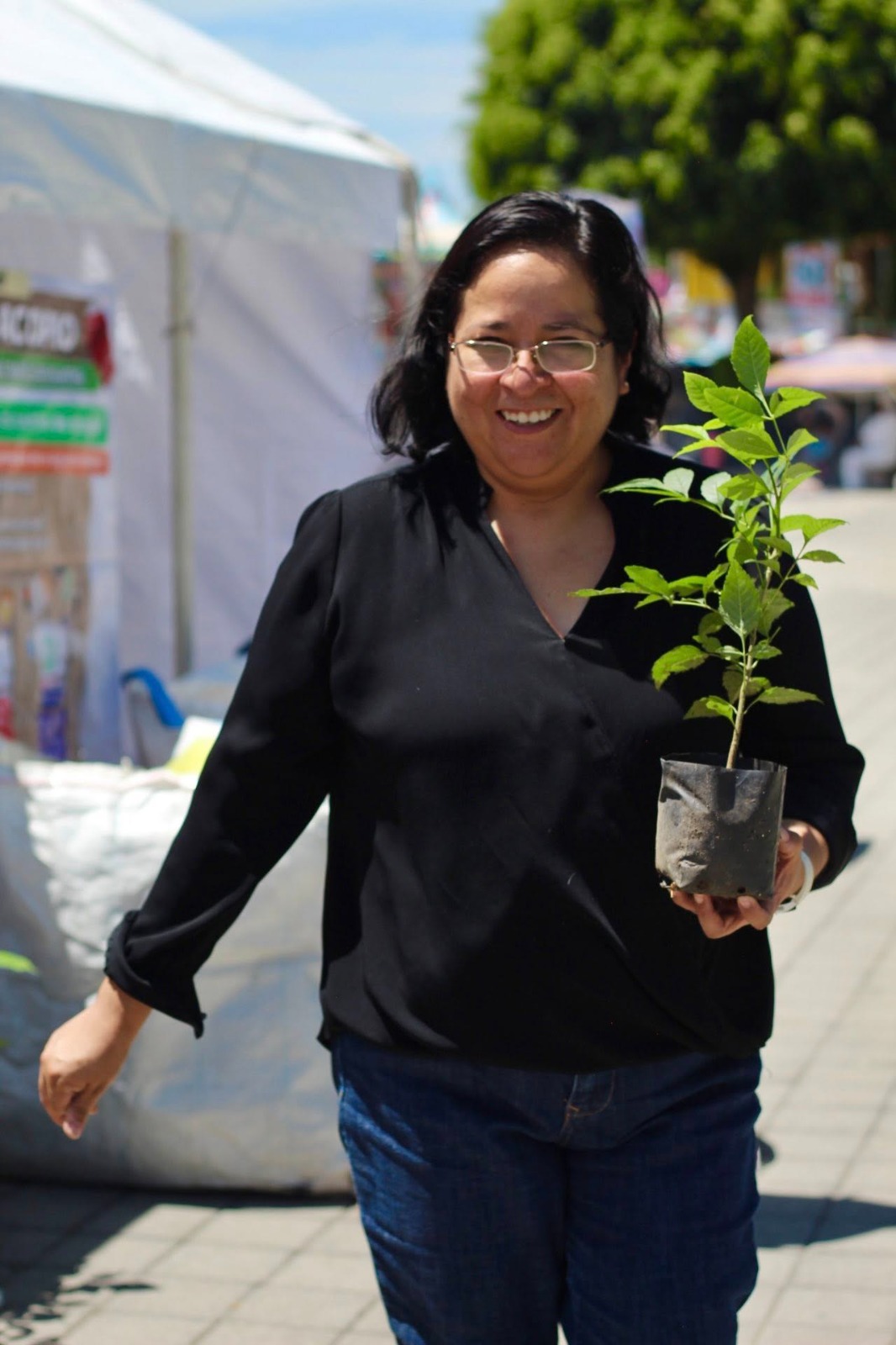 ecocholula recibe electricos 4