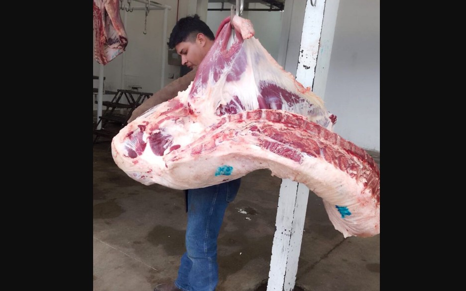 Rastro municipal bajo supervisión oficial