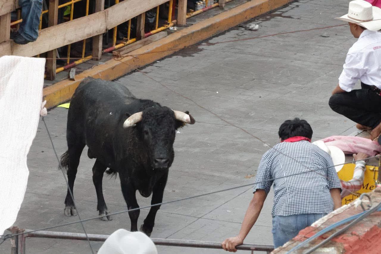 Pese a nuevas normas huamantlada deja ocho lesionados, uno de gravedad